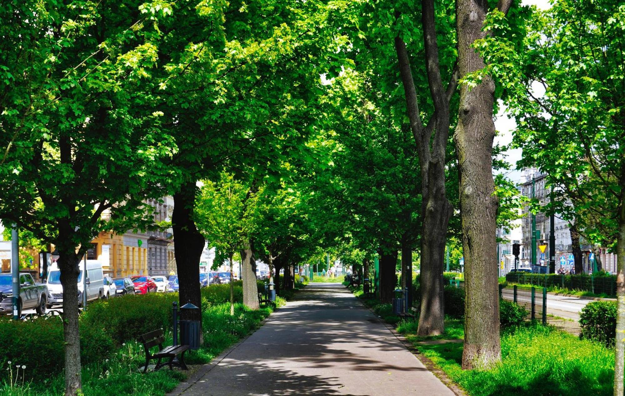 Apartment Good Place *